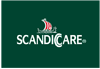 logo partner klein scandicc